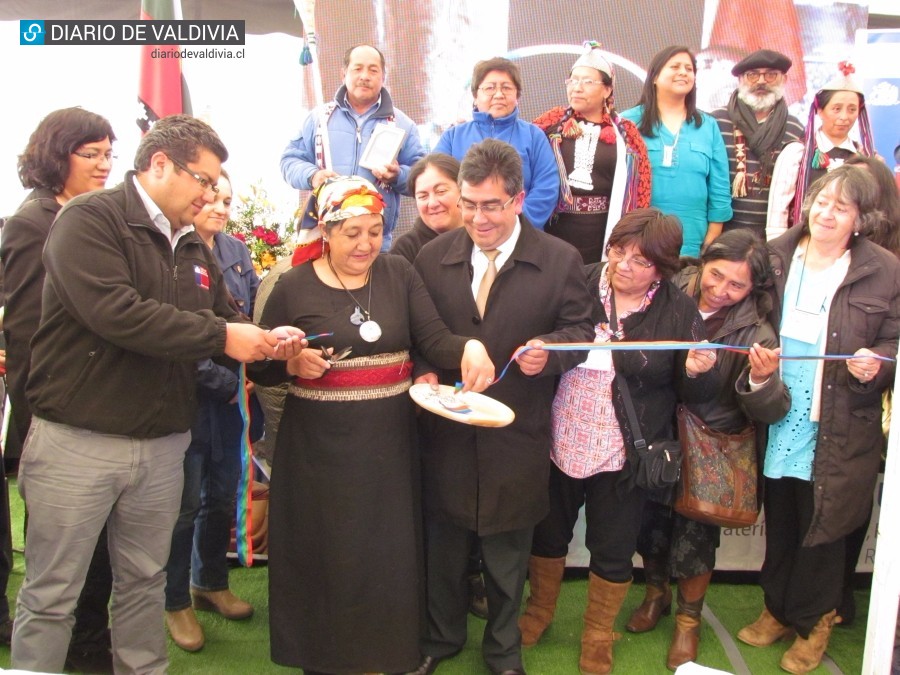 Invitan a visitar la Expo Intercultural Mapuche 2015 en Valdivia