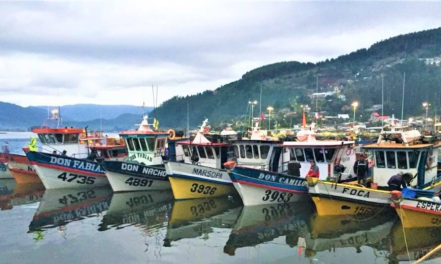 Cámara Baja discute modificaciones a la legislación pesquera para paliar impacto del Covid-19 en el sector