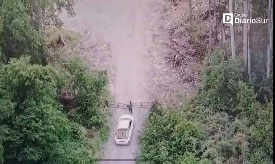 Detienen a dos personas por robo de madera a predio forestal en Panguipulli