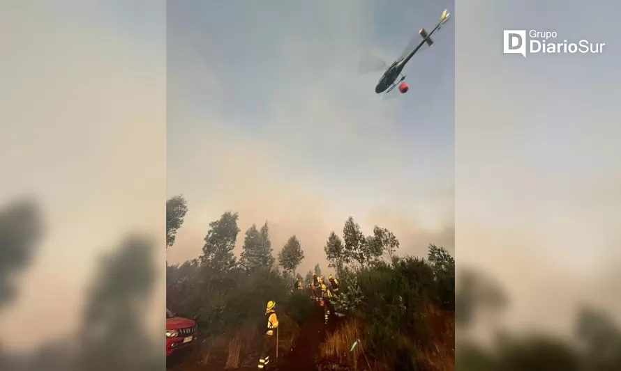 “Este incendio está contenido”: confirman que se ha controlado emergencia forestal en Valdivia 