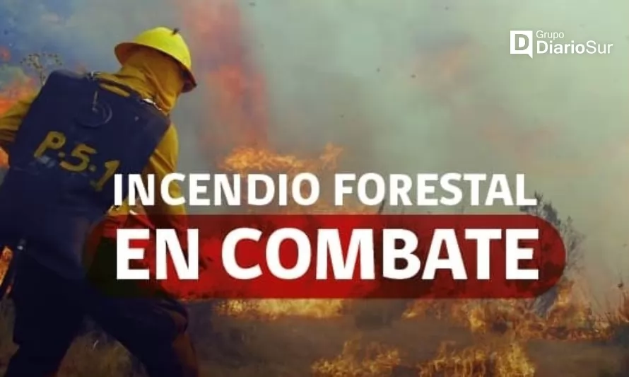 Incendio forestal en Valdivia pasa de Alerta Roja a Alerta Amarilla