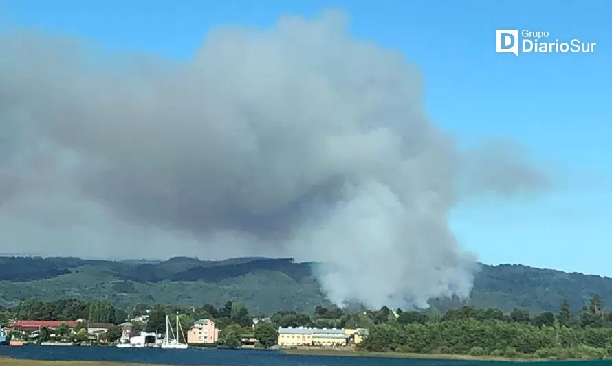 Conaf confirmó que el incendio forestal que afectó a Valdivia está controlado