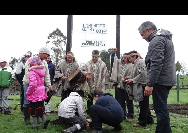 Inauguraron vivero y sombreadero en la comunidad ancestral Ketry en Río Bueno