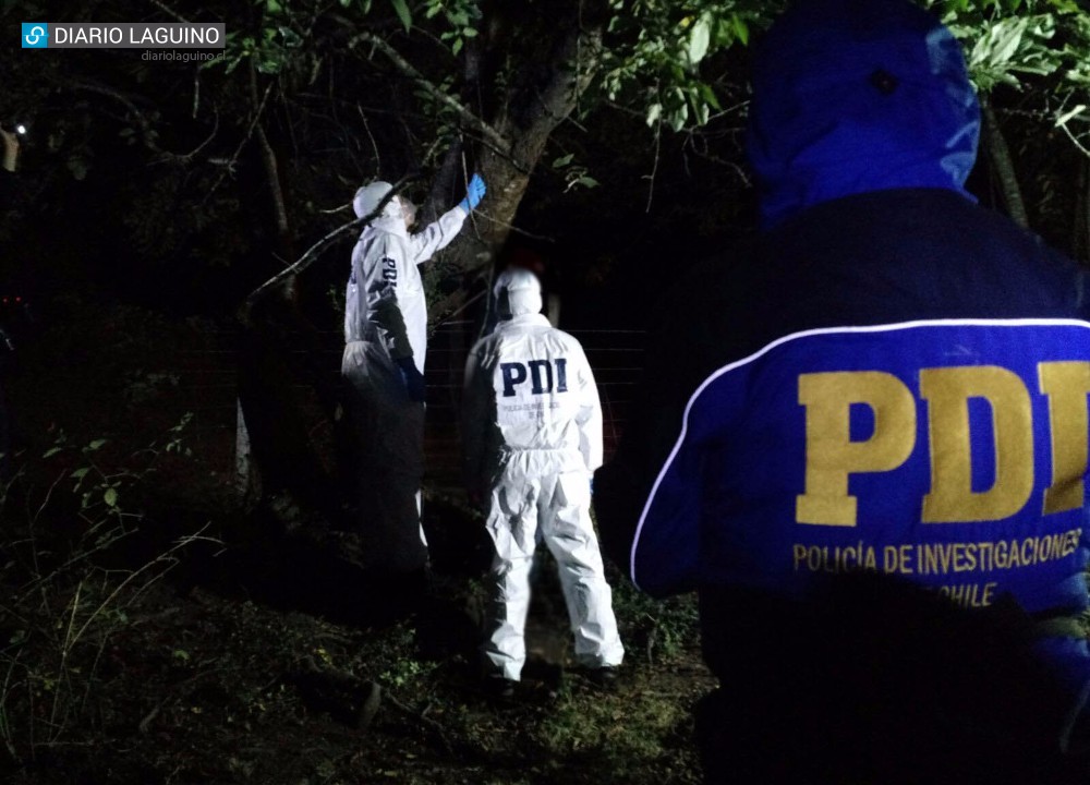 PDI investiga muerte de laguino que se ocultó de la justicia en Panguipulli