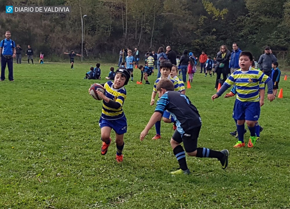 Niños rugbistas del Windsor School participaron en el Festival de Rugby en Osorno