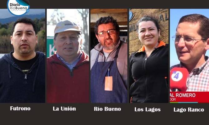 Mueblistas de Futrono, La Unión, Río Bueno, Los Lagos y Lago Ranco compiten para ser el mejor de la región