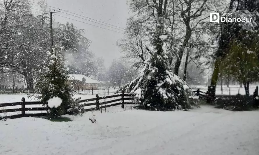 Siete comunas de Los Ríos registraron caída de nieve