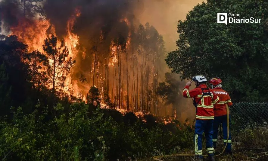 Indap entregó recomendaciones para evitar incendio forestales en la región