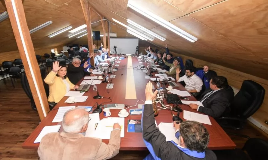 Consejo Regional de Los Ríos aprobó recursos para talleres formativos de patinaje