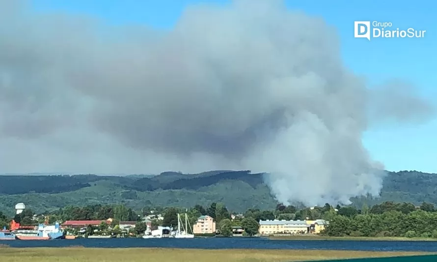 [VIDEO] Alerta Roja por incendio forestal afecta a zona cercana al área urbana de Valdivia