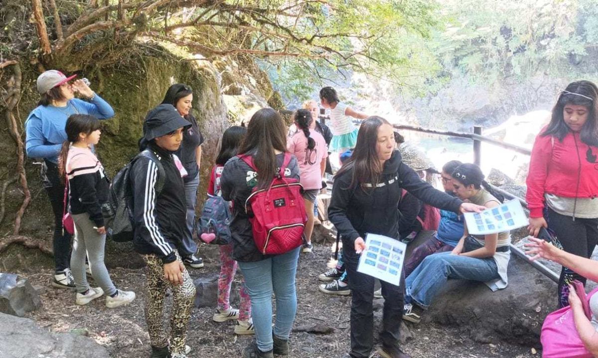 Niños practicaron trekking en parques y reservas naturales de la región